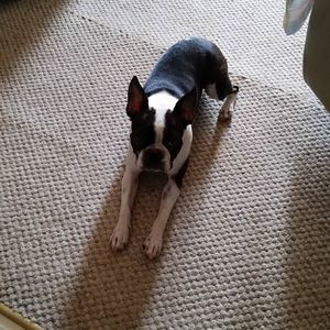 Meet your Posher, Janice